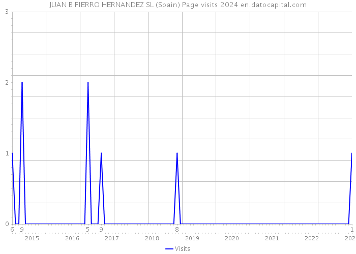 JUAN B FIERRO HERNANDEZ SL (Spain) Page visits 2024 