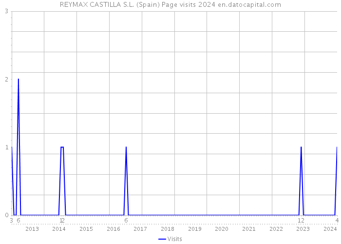 REYMAX CASTILLA S.L. (Spain) Page visits 2024 