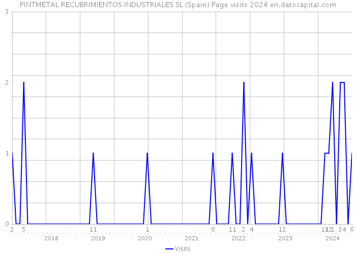 PINTMETAL RECUBRIMIENTOS INDUSTRIALES SL (Spain) Page visits 2024 