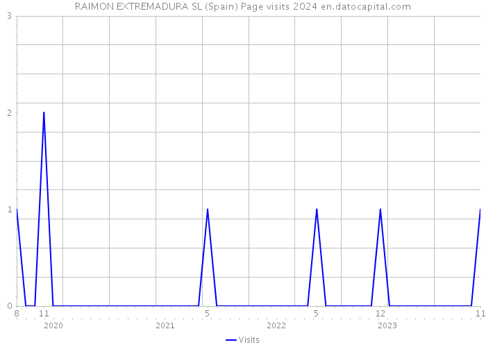 RAIMON EXTREMADURA SL (Spain) Page visits 2024 