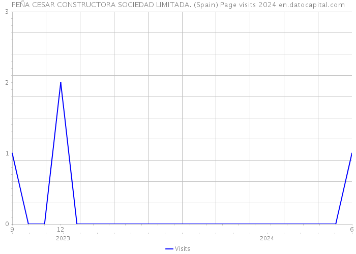 PEÑA CESAR CONSTRUCTORA SOCIEDAD LIMITADA. (Spain) Page visits 2024 