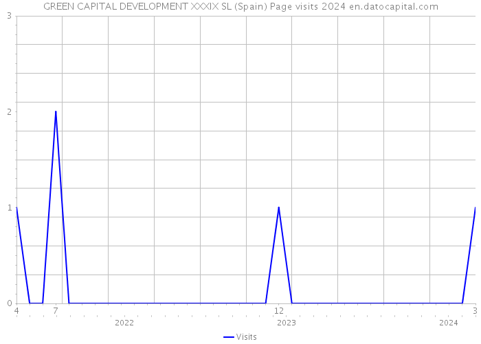GREEN CAPITAL DEVELOPMENT XXXIX SL (Spain) Page visits 2024 