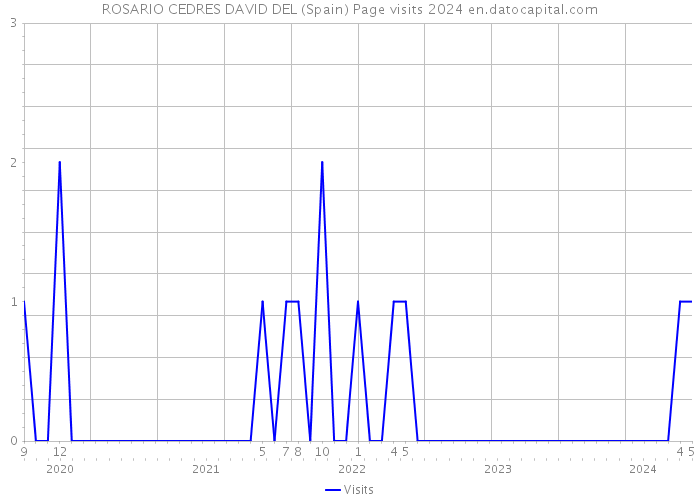 ROSARIO CEDRES DAVID DEL (Spain) Page visits 2024 