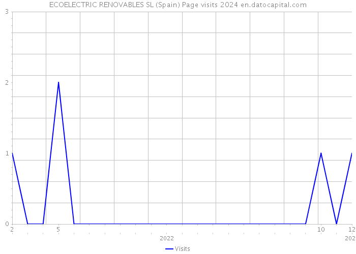 ECOELECTRIC RENOVABLES SL (Spain) Page visits 2024 