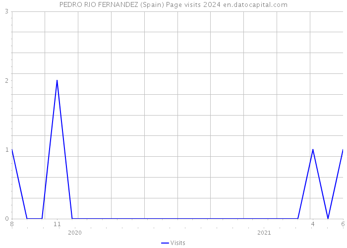PEDRO RIO FERNANDEZ (Spain) Page visits 2024 