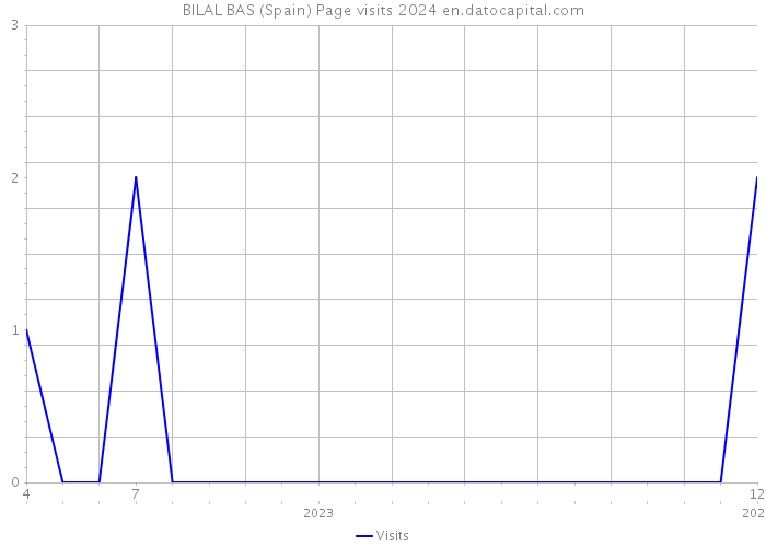 BILAL BAS (Spain) Page visits 2024 