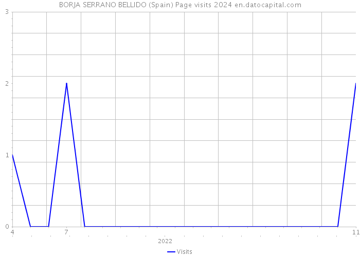 BORJA SERRANO BELLIDO (Spain) Page visits 2024 