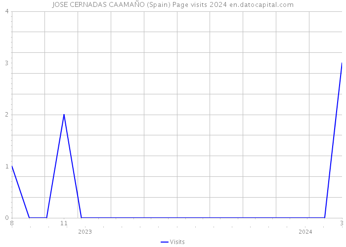 JOSE CERNADAS CAAMAÑO (Spain) Page visits 2024 