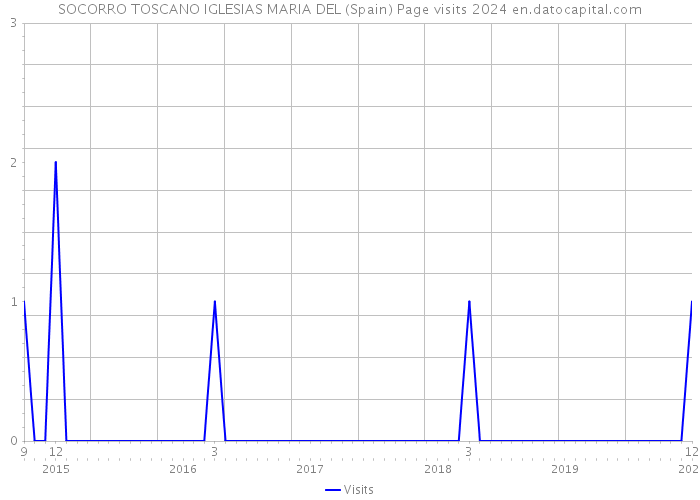 SOCORRO TOSCANO IGLESIAS MARIA DEL (Spain) Page visits 2024 