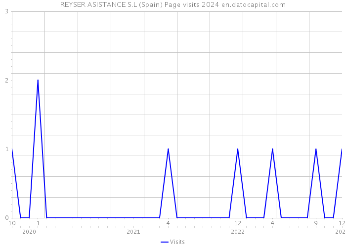REYSER ASISTANCE S.L (Spain) Page visits 2024 