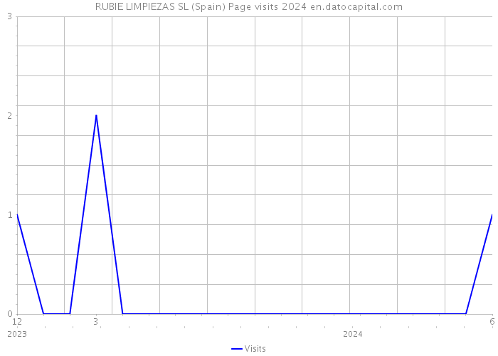 RUBIE LIMPIEZAS SL (Spain) Page visits 2024 