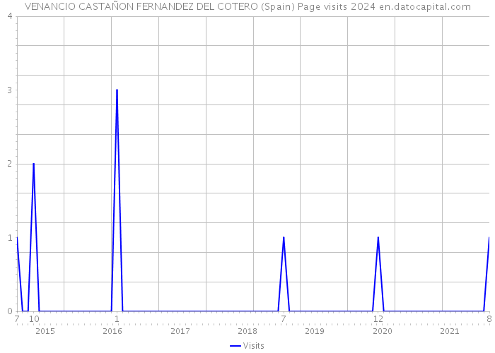 VENANCIO CASTAÑON FERNANDEZ DEL COTERO (Spain) Page visits 2024 