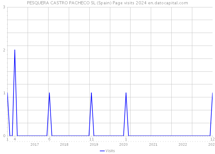 PESQUERA CASTRO PACHECO SL (Spain) Page visits 2024 