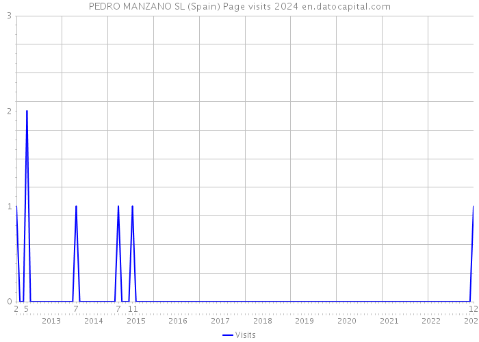 PEDRO MANZANO SL (Spain) Page visits 2024 