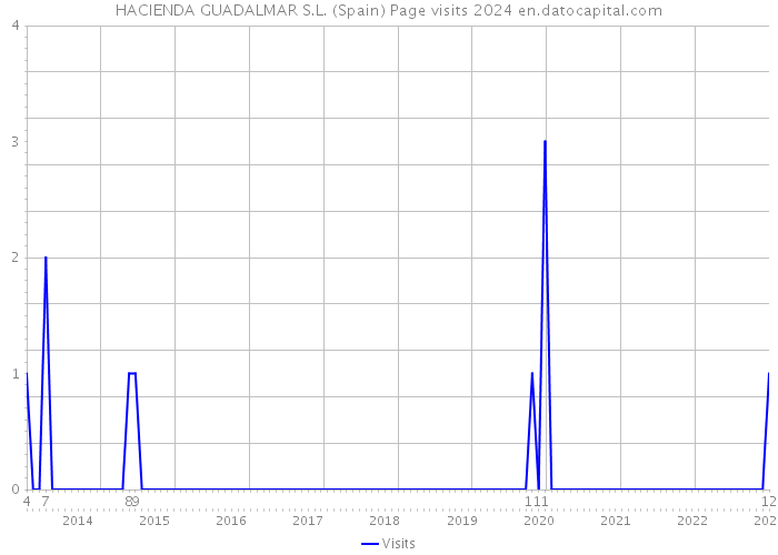 HACIENDA GUADALMAR S.L. (Spain) Page visits 2024 