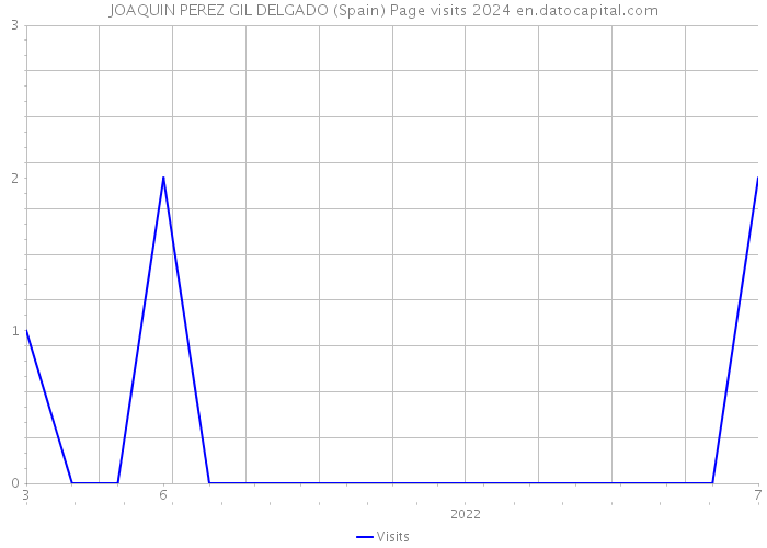 JOAQUIN PEREZ GIL DELGADO (Spain) Page visits 2024 