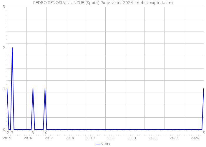 PEDRO SENOSIAIN UNZUE (Spain) Page visits 2024 