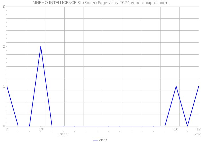 MNEMO INTELLIGENCE SL (Spain) Page visits 2024 