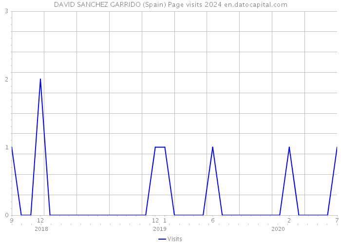 DAVID SANCHEZ GARRIDO (Spain) Page visits 2024 