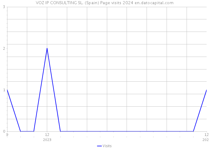 VOZ IP CONSULTING SL. (Spain) Page visits 2024 