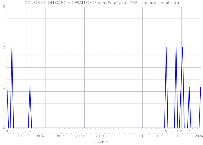 CONSOLACION GARCIA CEBALLOS (Spain) Page visits 2024 