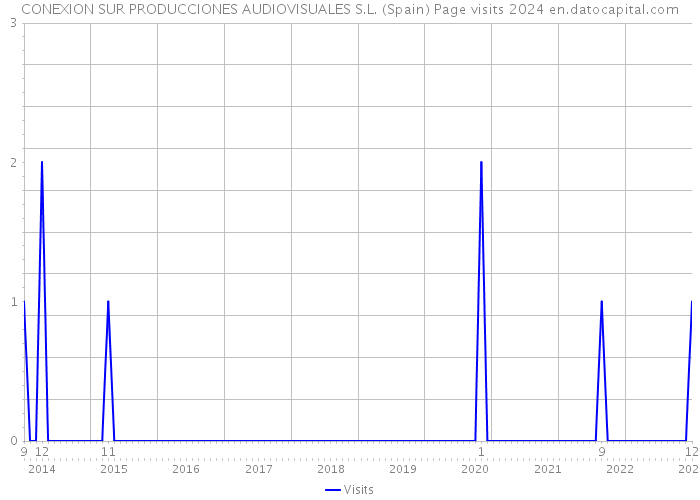 CONEXION SUR PRODUCCIONES AUDIOVISUALES S.L. (Spain) Page visits 2024 