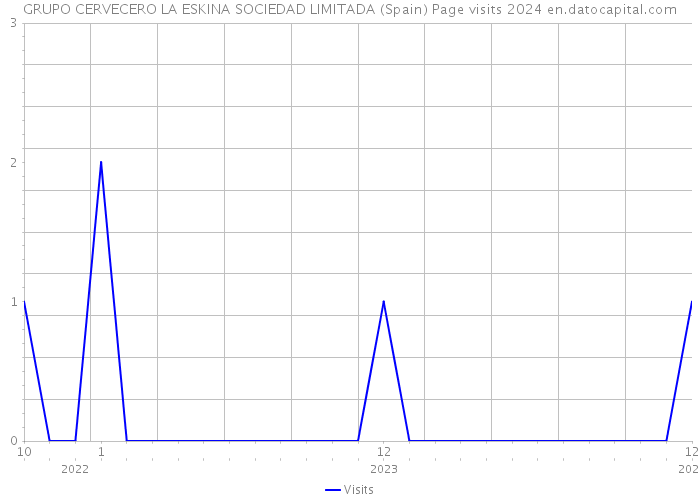 GRUPO CERVECERO LA ESKINA SOCIEDAD LIMITADA (Spain) Page visits 2024 