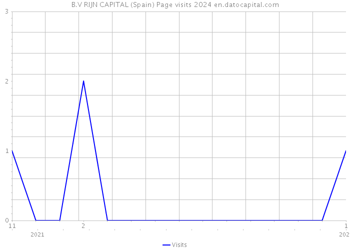 B.V RIJN CAPITAL (Spain) Page visits 2024 