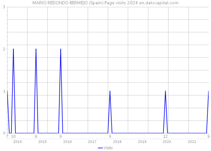 MARIO REDONDO BERMEJO (Spain) Page visits 2024 