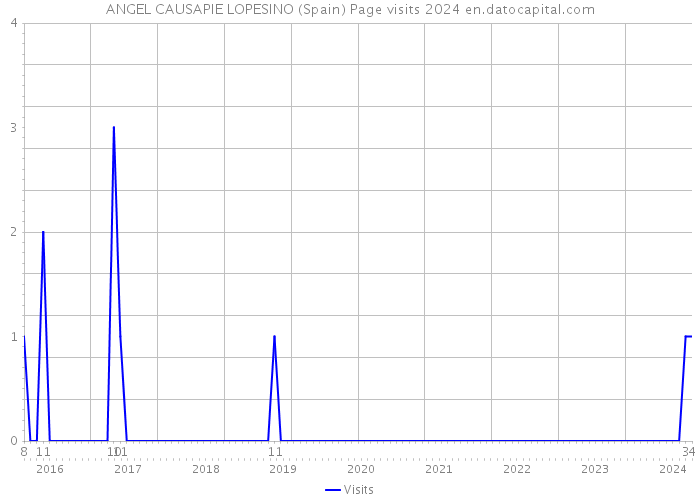 ANGEL CAUSAPIE LOPESINO (Spain) Page visits 2024 