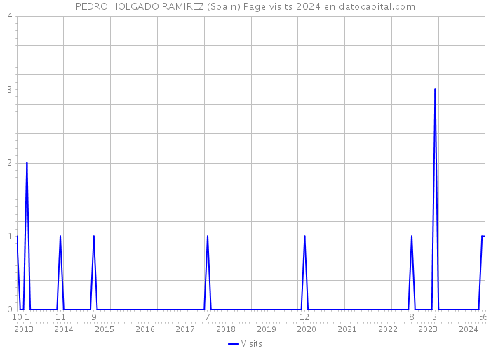 PEDRO HOLGADO RAMIREZ (Spain) Page visits 2024 