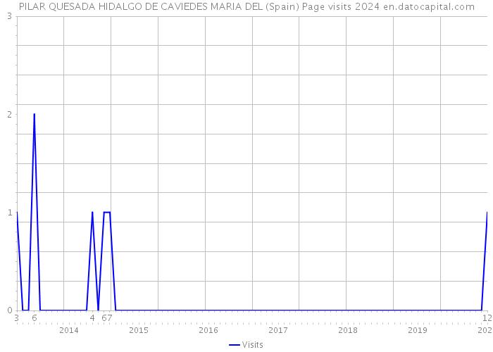 PILAR QUESADA HIDALGO DE CAVIEDES MARIA DEL (Spain) Page visits 2024 