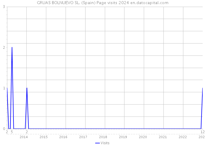 GRUAS BOLNUEVO SL. (Spain) Page visits 2024 