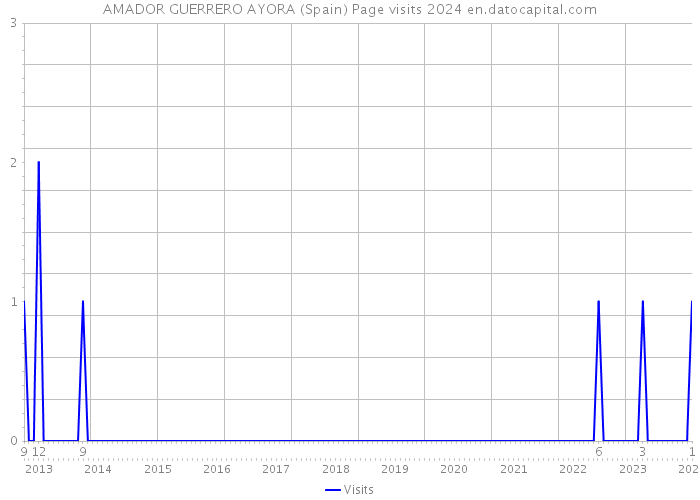 AMADOR GUERRERO AYORA (Spain) Page visits 2024 