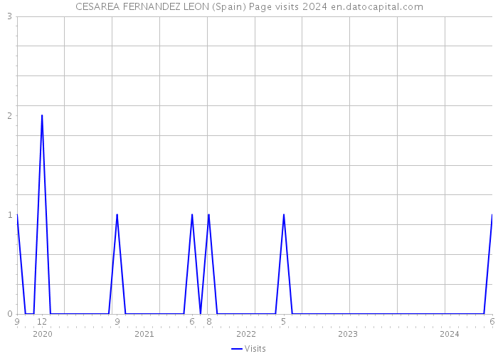 CESAREA FERNANDEZ LEON (Spain) Page visits 2024 