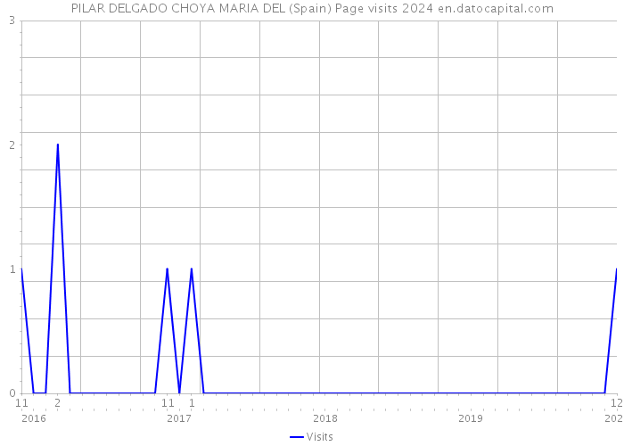 PILAR DELGADO CHOYA MARIA DEL (Spain) Page visits 2024 