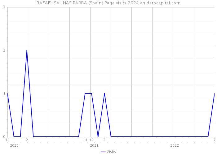 RAFAEL SALINAS PARRA (Spain) Page visits 2024 