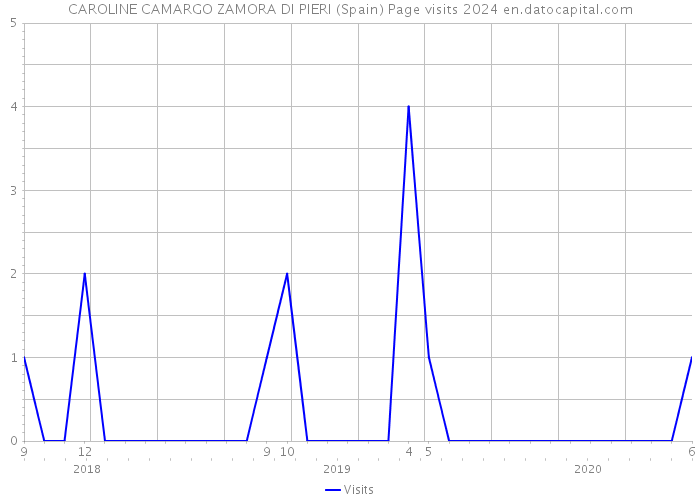 CAROLINE CAMARGO ZAMORA DI PIERI (Spain) Page visits 2024 