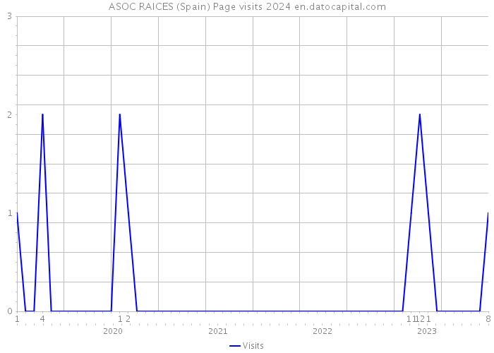 ASOC RAICES (Spain) Page visits 2024 