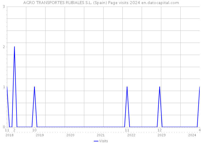 AGRO TRANSPORTES RUBIALES S.L. (Spain) Page visits 2024 