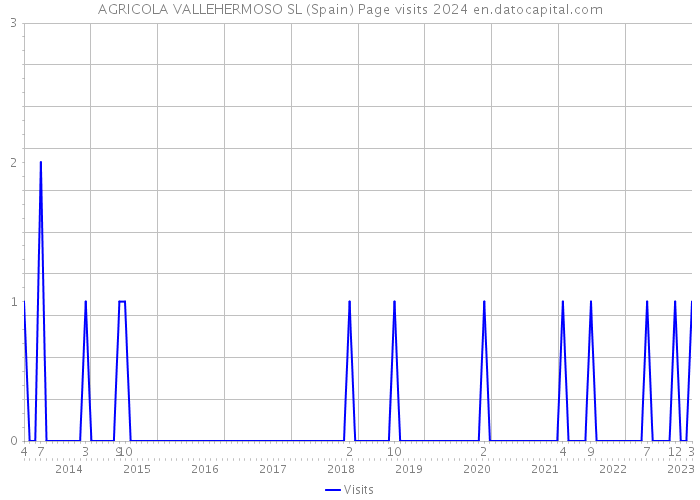 AGRICOLA VALLEHERMOSO SL (Spain) Page visits 2024 