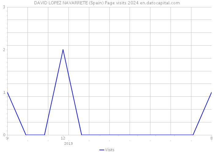 DAVID LOPEZ NAVARRETE (Spain) Page visits 2024 