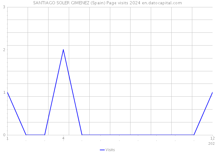 SANTIAGO SOLER GIMENEZ (Spain) Page visits 2024 