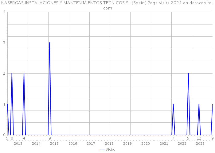 NASERGAS INSTALACIONES Y MANTENIMIENTOS TECNICOS SL (Spain) Page visits 2024 