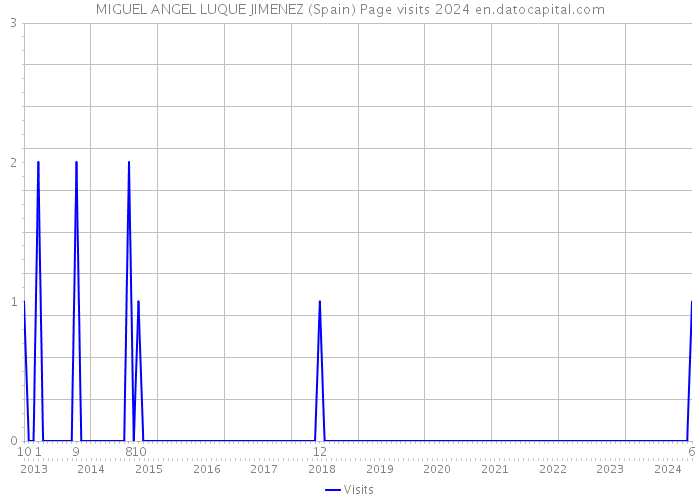 MIGUEL ANGEL LUQUE JIMENEZ (Spain) Page visits 2024 