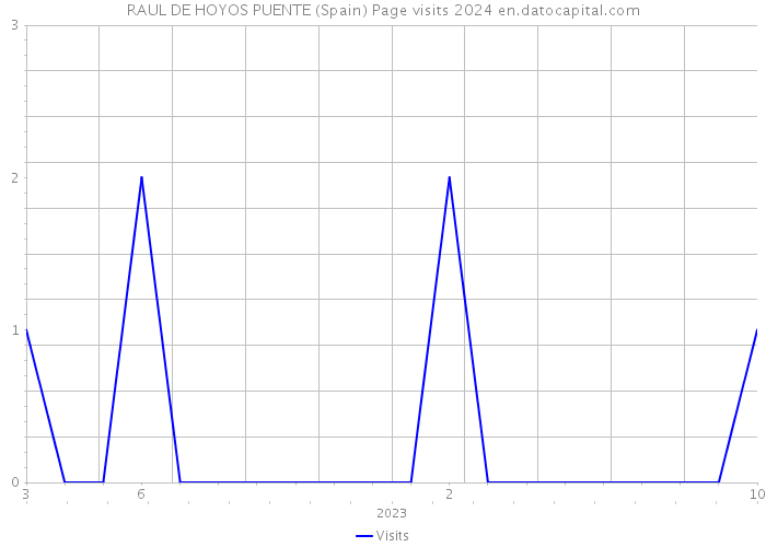RAUL DE HOYOS PUENTE (Spain) Page visits 2024 
