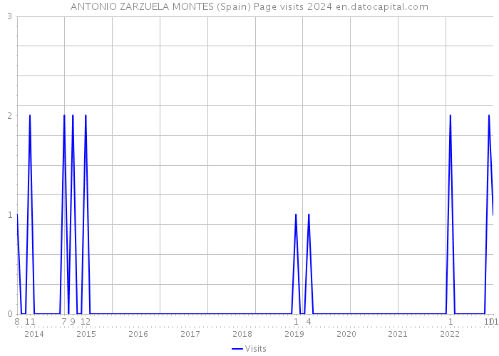 ANTONIO ZARZUELA MONTES (Spain) Page visits 2024 