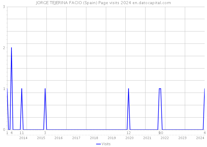 JORGE TEJERINA FACIO (Spain) Page visits 2024 