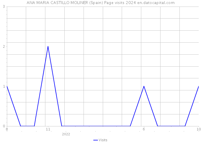 ANA MARIA CASTILLO MOLINER (Spain) Page visits 2024 