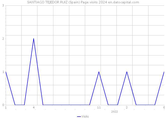 SANTIAGO TEJEDOR RUIZ (Spain) Page visits 2024 